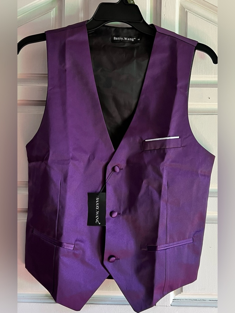 Men's Purple Formal Vest
